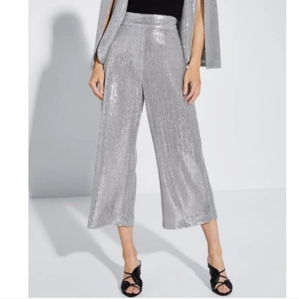 Zara Silver Sequin Culotte Pants